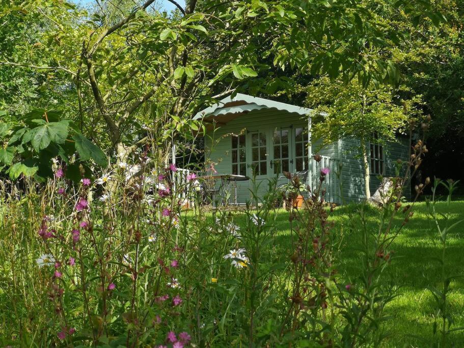 Red Squirrel Holiday Home In The Countryside, 10 Mins To Lligwy Beach Llandyfrydog Eksteriør bilde